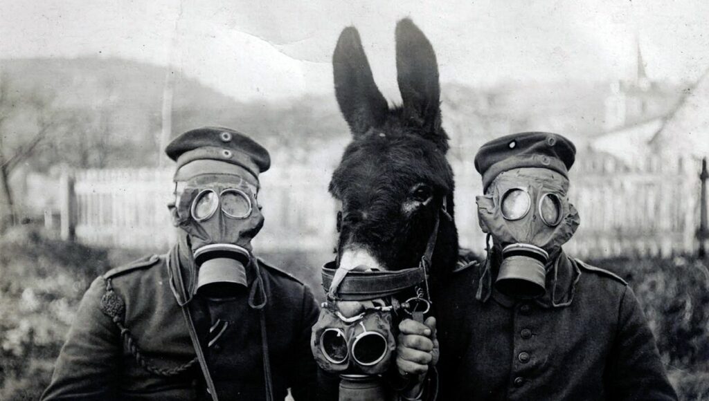 Deux soldats et un âne portent des masques à gaz