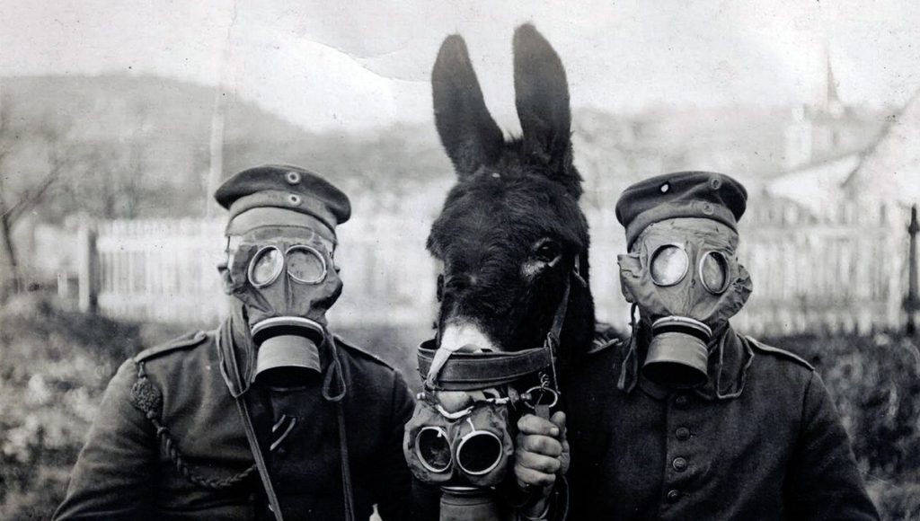 Deux soldats et un âne portent des masques à gaz
